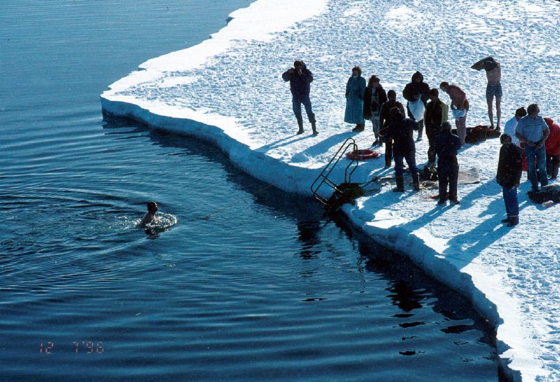 Swimmers at North Pole